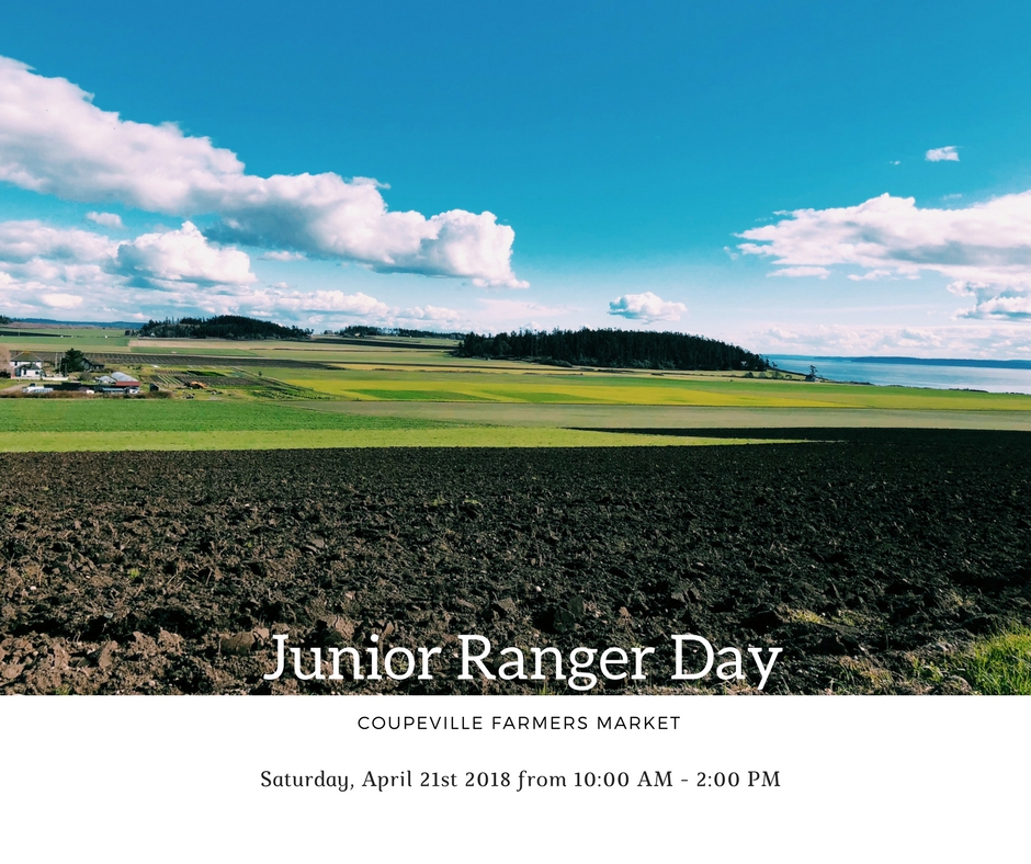 Junior Ranger Day Windermere