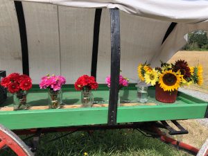 Wagon, Flowers, Flower stand, honesty stand, whidbey island