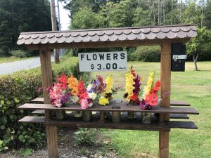 Flowers, Vase, Home grown, labor of love, neighborhood, community, whidbey Island, Oak Harbor 