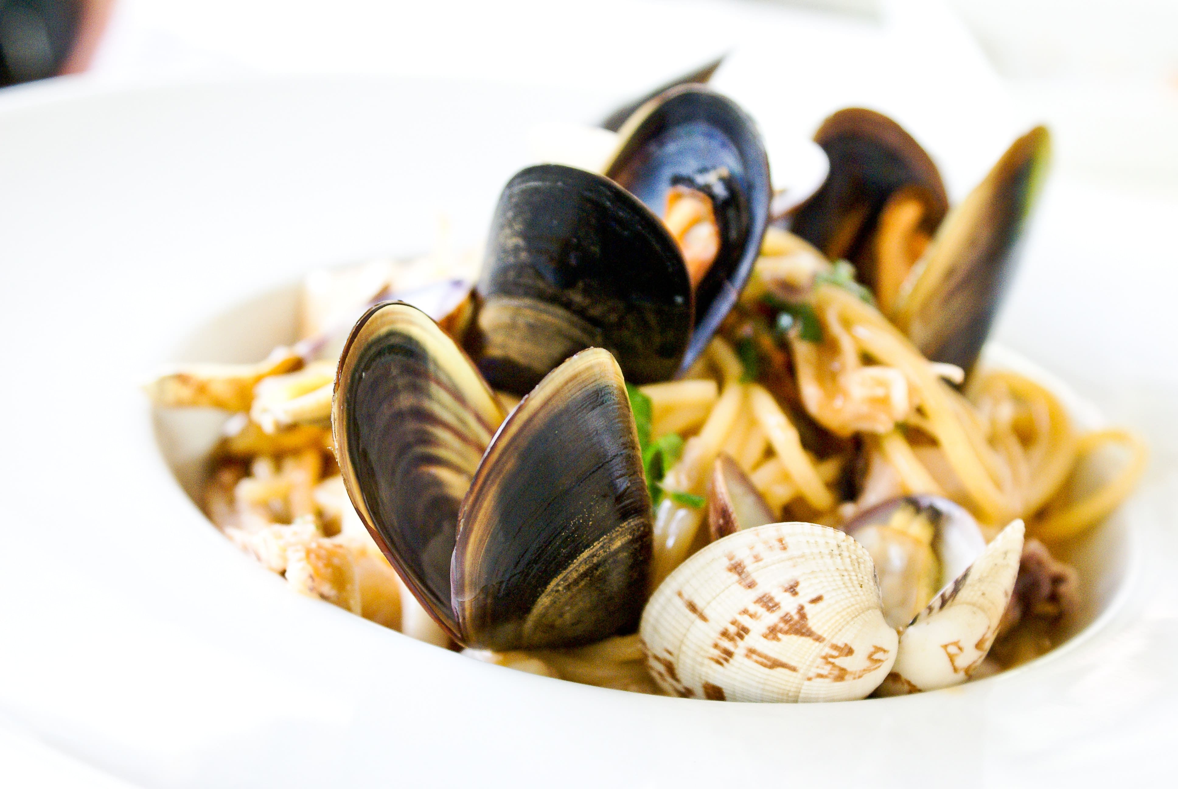 Seafood, Mussel, Dinner, Lunch, Local, Locally grown, world famous, must try, whidbey island
