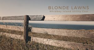 Blonde Lawns, Whidbey Island, Grass, yard, Home