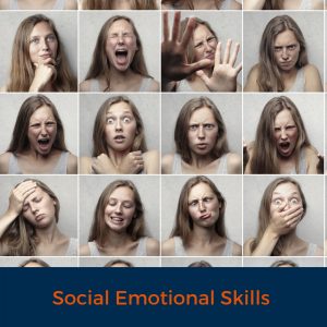 Social Emotional Skills 