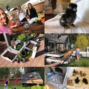 Windermom, Konni Smith, Chickens, Windermoms Quarantine Activities