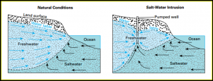 Drinking Water On Whidbey, Windermere Real Estate