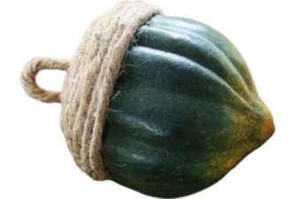 Acorn Squash, 