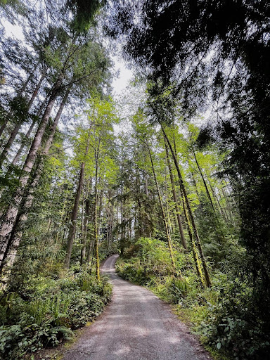 Hiking Trails on Whidbey Island | Windermere Whidbey