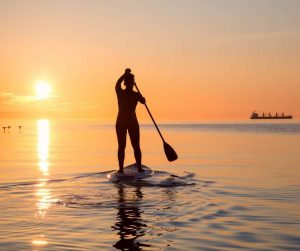 Paddle Board Stock