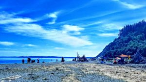 Double Bluff Beach Photo by Si Fisher