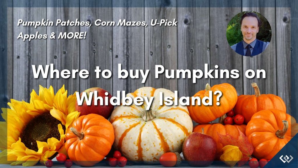 Where to buy Pumpkins on Whidbey Island Header - Si Fisher