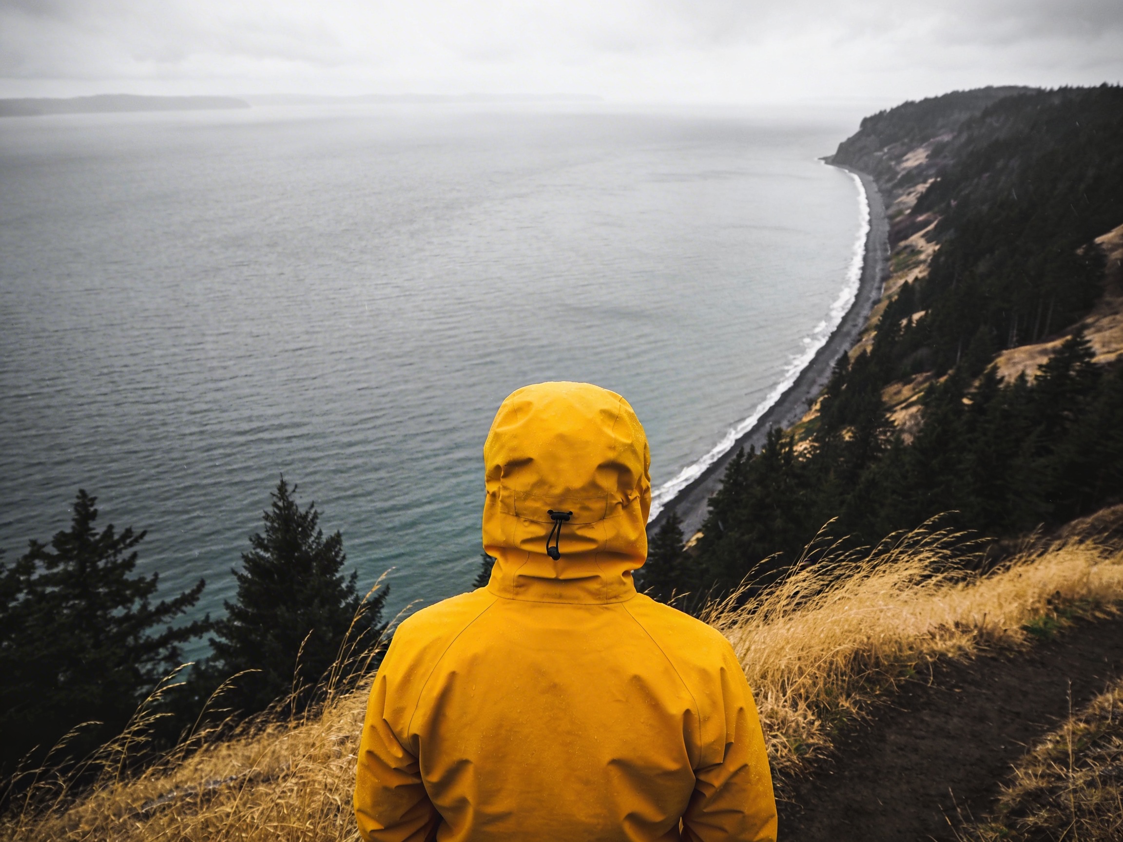 Hiker in yellow jacket overlooking the sea from Ebey's Landing trail